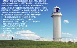 楚泰大宗商品交易中心总部招代理价格 楚泰大宗商品交易中心总部招代理型号规格